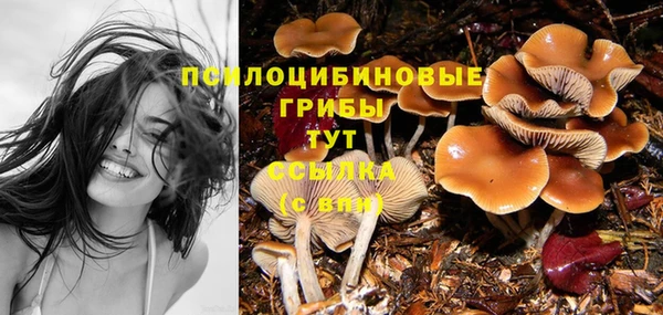 каннабис Горняк