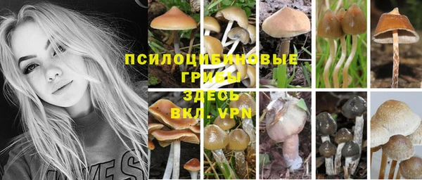 каннабис Горняк