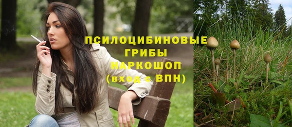 бутират Снежногорск
