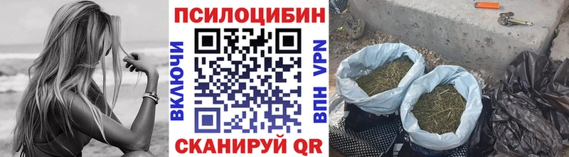 купить наркотик  Жигулёвск  KRAKEN зеркало  Галлюциногенные грибы MAGIC MUSHROOMS 