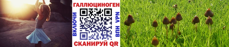 Галлюциногенные грибы Cubensis Жигулёвск